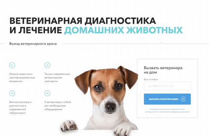 Сайт выездной ветеринарной клиники