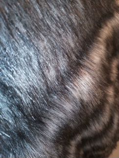 Жилетка меховая. Новая