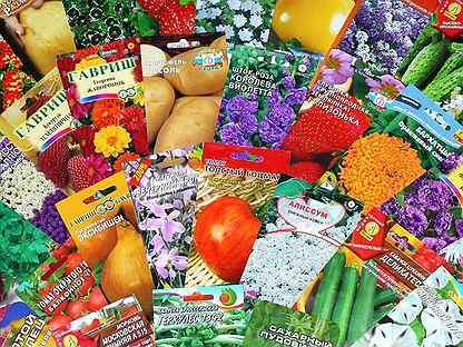 Семена для торговли