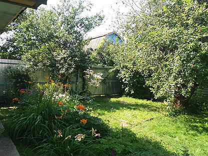 Дачи шалово. Дачи шалово. Дачи шалово. Дача шумейка энгельс ассамблея. Снт машиностроитель дом 137.