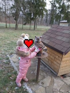 Зимний детский комплект Moncler Румыния мятный цве