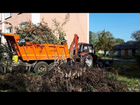 Вырубка деревьев корчевка, расчистка участок