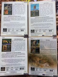 DVD National Geographic