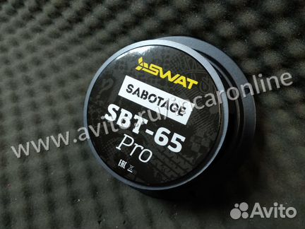 Эстрадная акустика Swat SBT-65Pro - 16 см
