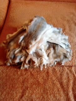 Шкурки белки 49 штук + 17 штук