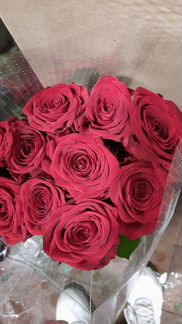 Цветы розы с доставкой