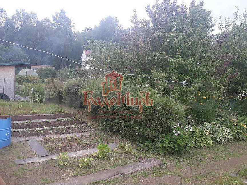 Сдт товарищество. Сдт товарищество